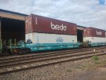 BRAD PRT-065083-8